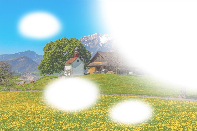 網膜裂孔・網膜剥離のイメージ写真