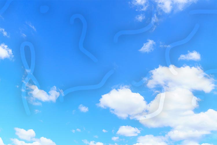 ゴミが飛んで見えるイメージ写真